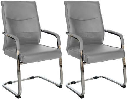 Set van 2 bezoekersstoelen Habort, Grijs